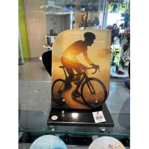 plaque altuglas cycliste 2851